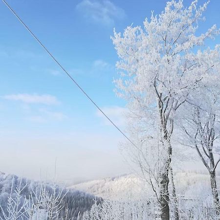 Haus Schneider Lejlighed Winterberg Eksteriør billede