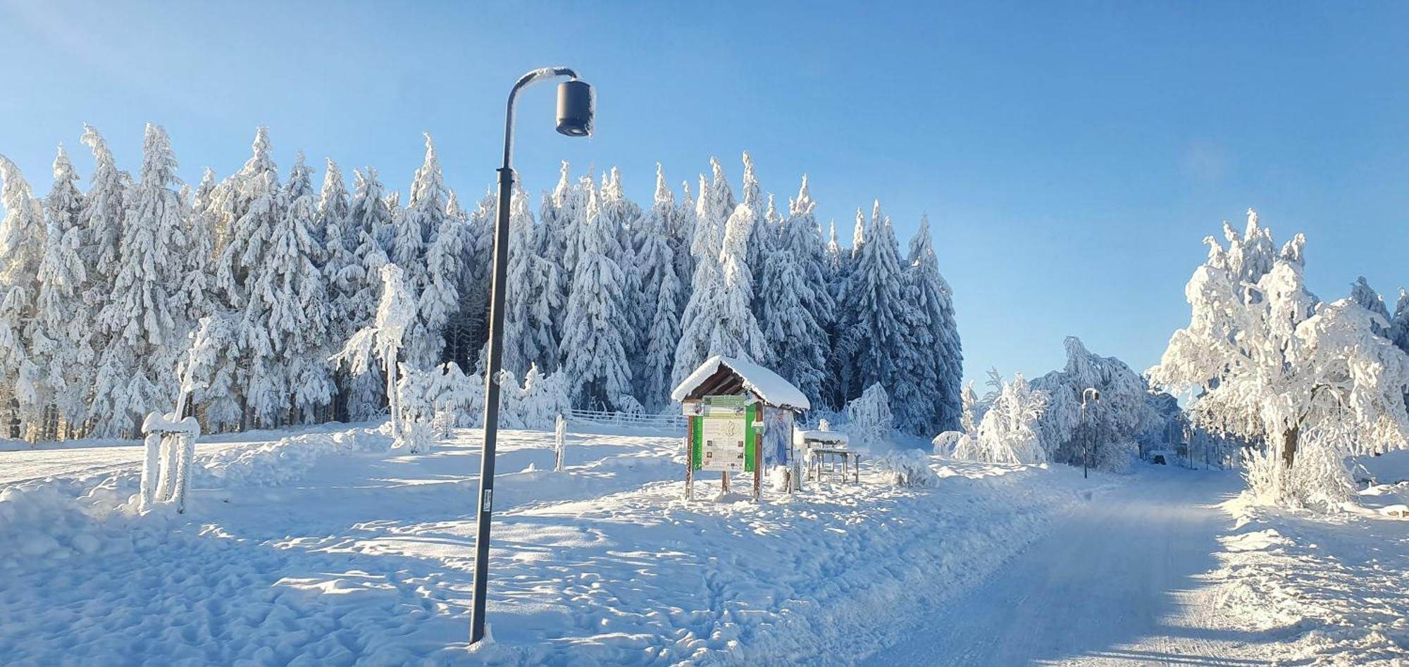 Haus Schneider Lejlighed Winterberg Eksteriør billede