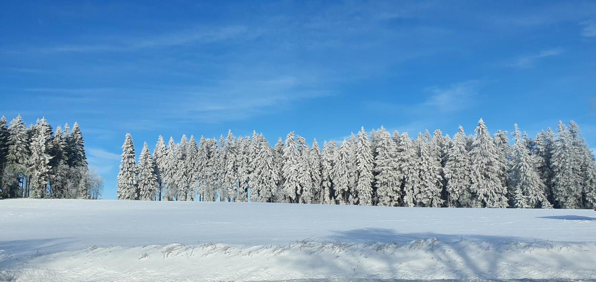 Haus Schneider Lejlighed Winterberg Eksteriør billede