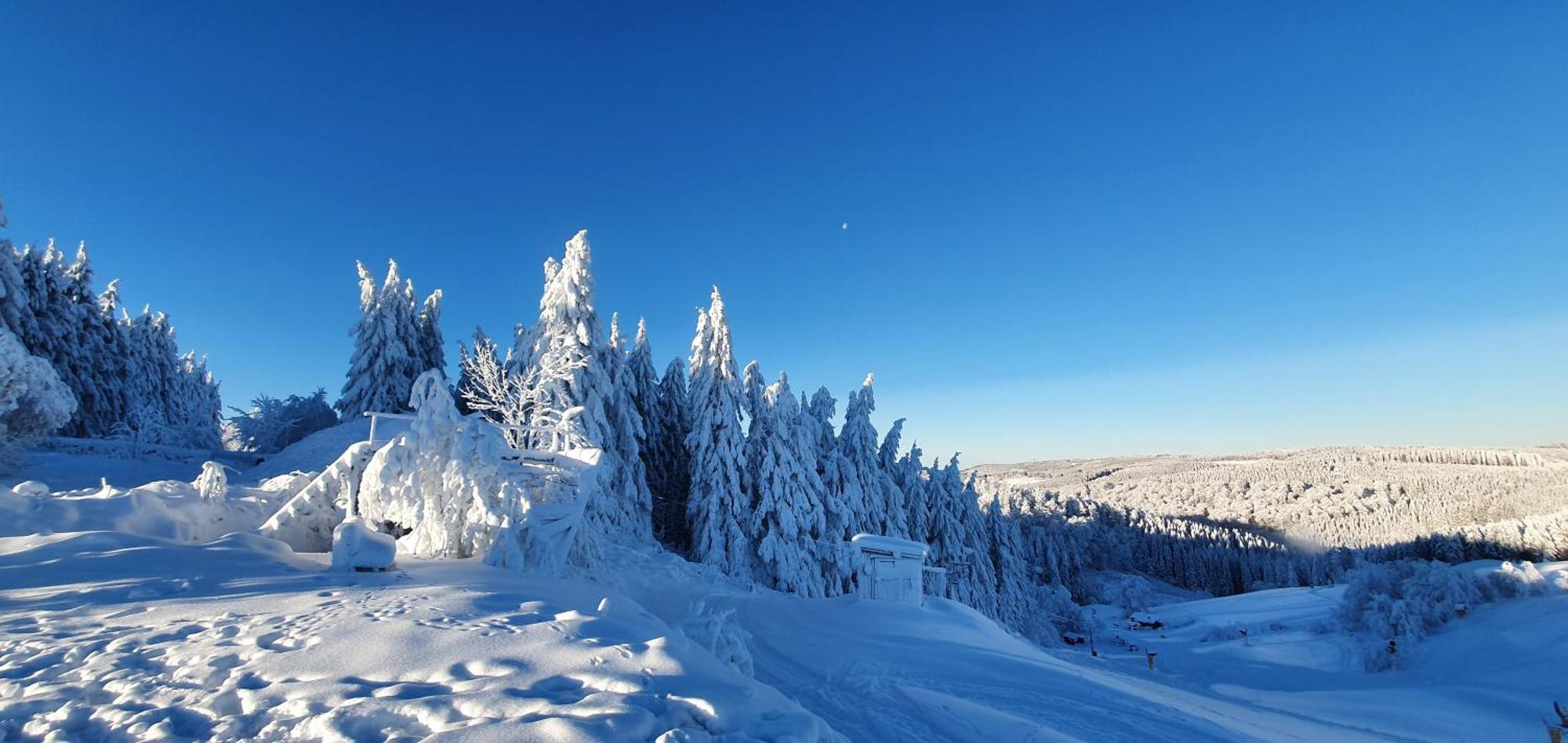 Haus Schneider Lejlighed Winterberg Eksteriør billede