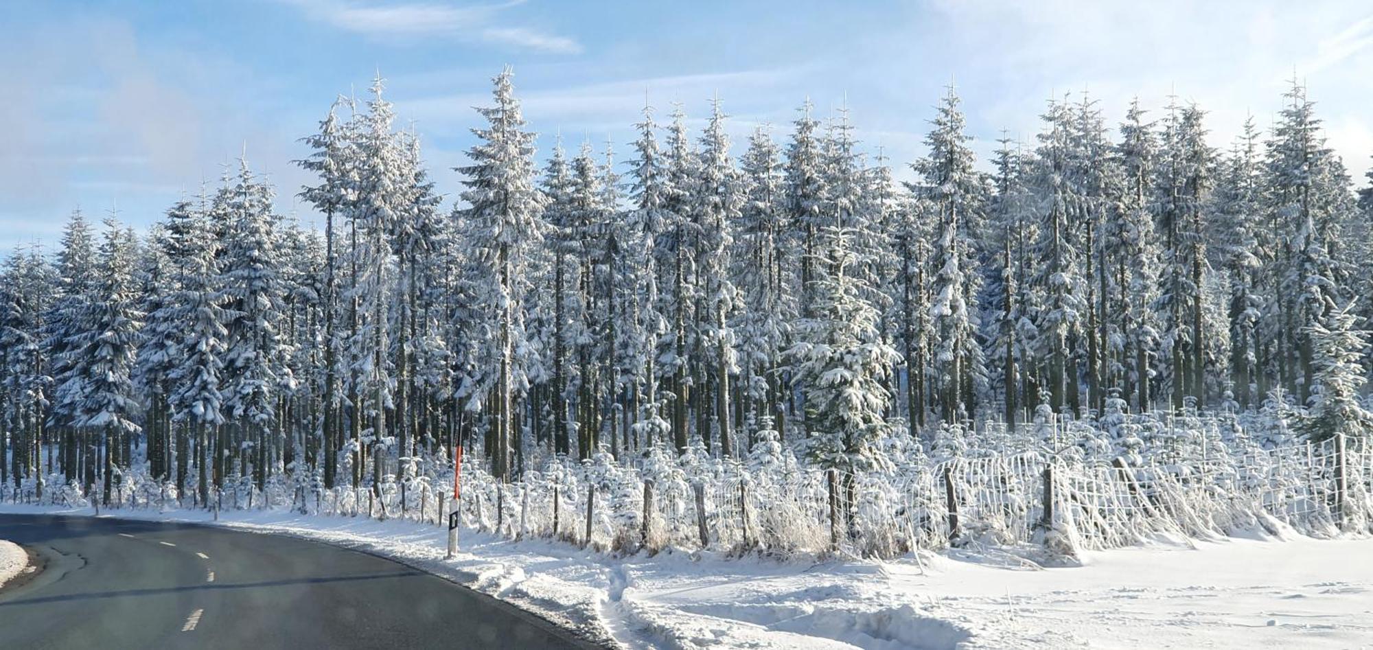 Haus Schneider Lejlighed Winterberg Eksteriør billede