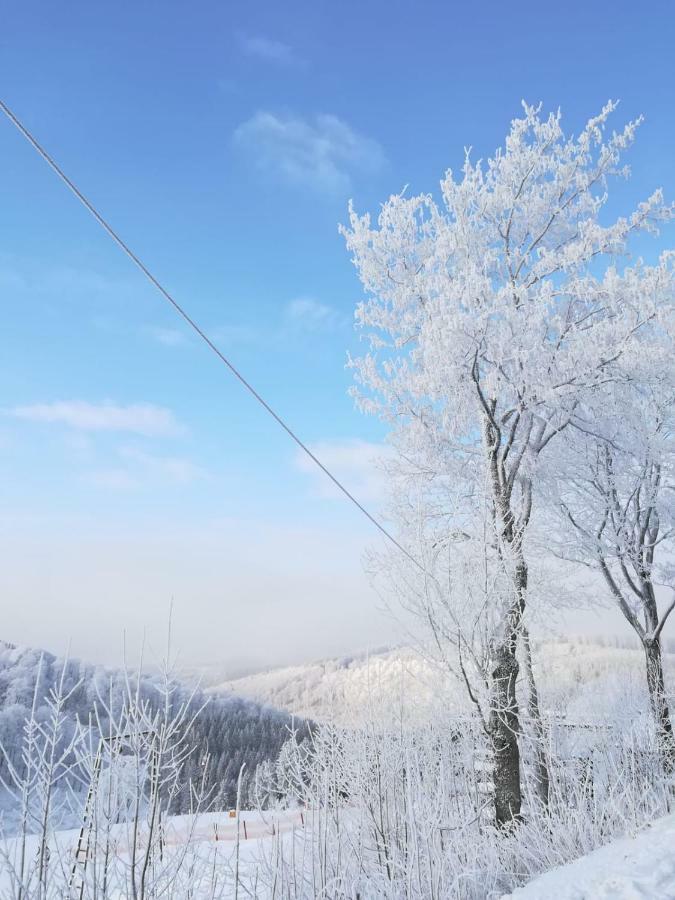 Haus Schneider Lejlighed Winterberg Eksteriør billede